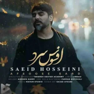 سعید حسینی