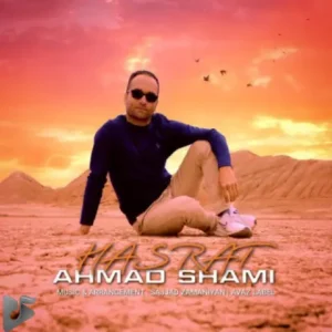 احمد شامی