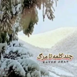 کاوه ژاو