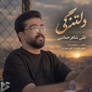 دانلود آهنگ جدید علی شاهرحمانی به نام دلتنگی