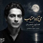 دانلود آهنگ جدید همایون شجریان به نام می تراود مهتاب دانلود آهنگ جدید همایون شجریان به نام می تراود مهتاب