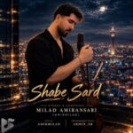 دانلود آهنگ جدید میلاد امیر انصاری به نام شب سرد دانلود آهنگ جدید میلاد امیر انصاری به نام شب سرد